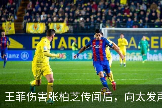 王菲伤害张柏芝传闻后，向太发声，她早爆料王菲和李小冉是一类人